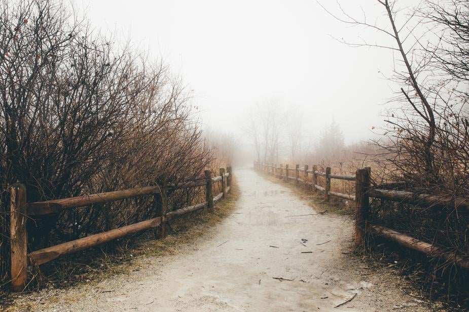 path-on-foggy-day_925x